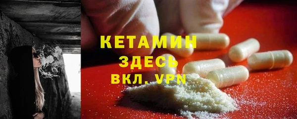 шишки Аркадак