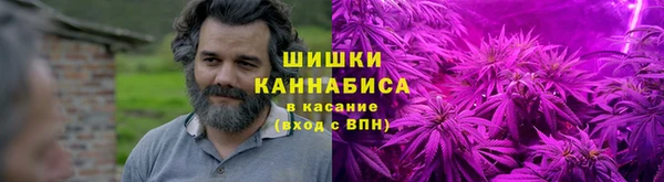 шишки Аркадак