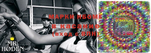 шишки Аркадак